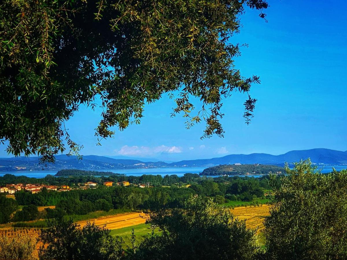 Agriturismo Annibale Tuoro sul Trasimeno Exterior photo