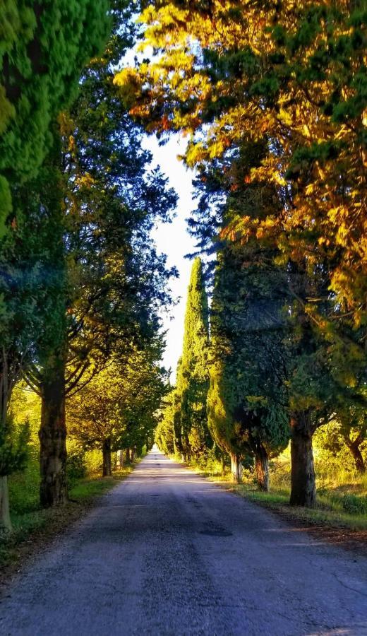 Agriturismo Annibale Tuoro sul Trasimeno Exterior photo